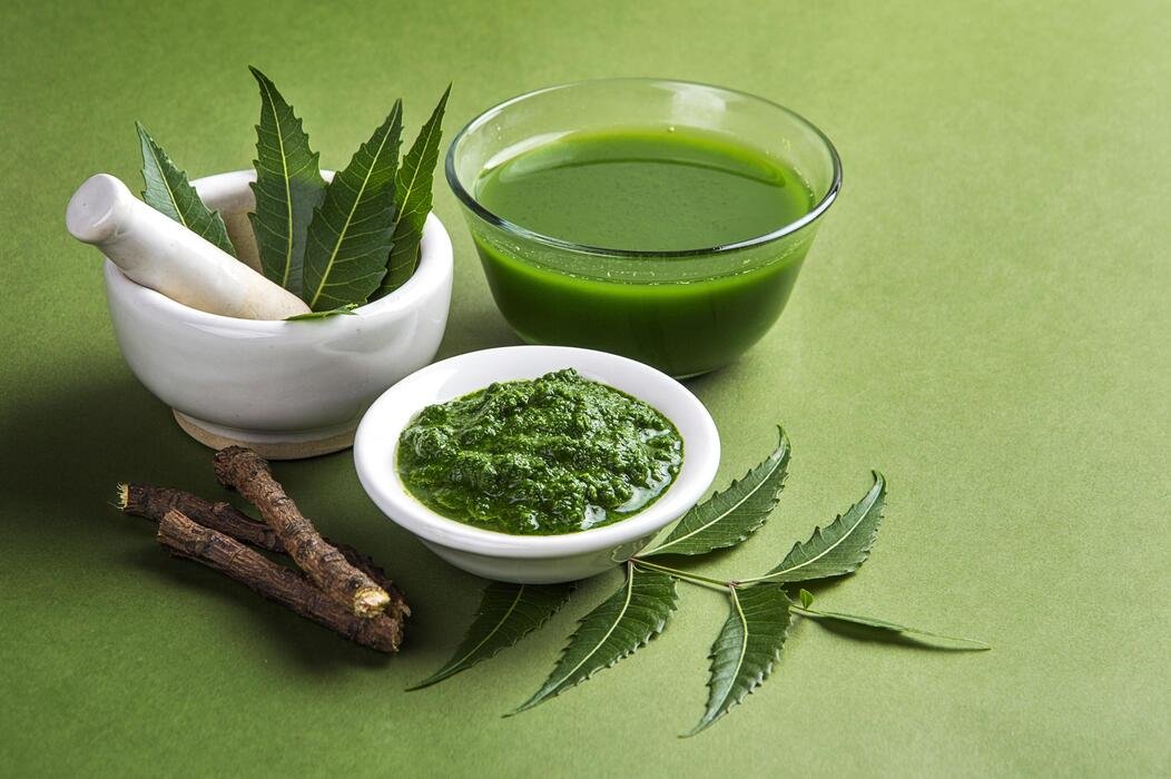 Vedic Remedies and Ayurvedic Wellbeing Life Guidance